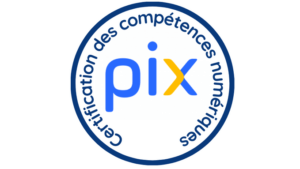 Logo Pix-fdblanc - BGE - Formation - numérique